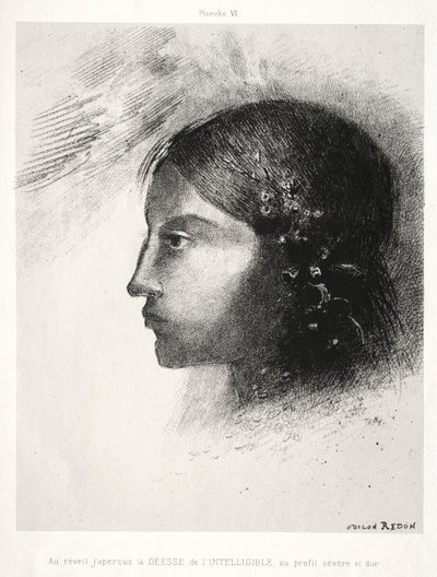 Hulde aan Goya: Bij het ontwaken zag ik de godin van het begrijpelijke, 1885 door Odilon Redon