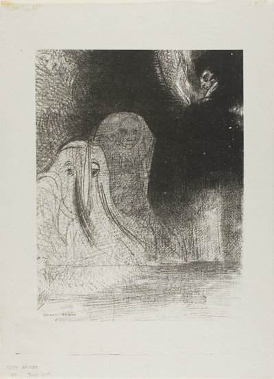 Ik heb soms in de lucht gezien wat leek op vormen van geesten, plaat 21 van 24 door Odilon Redon