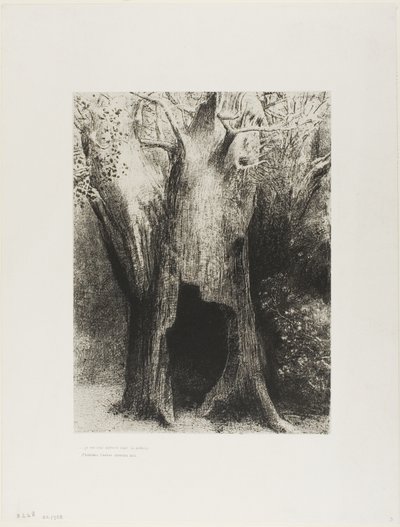 Ik Dook in de Eenzaamheid. Ik Woonde in de Boom achter Mij, plaat 9 van 24 door Odilon Redon