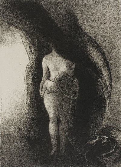 Ik ben nog steeds de grote Isis! Niemand heeft ooit mijn sluier opgelicht!, plaat 16 van 24 door Odilon Redon
