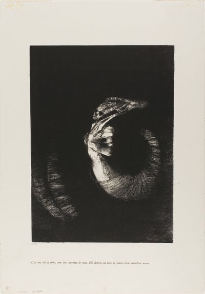 Het is een Schedel Omkranst met Rozen... door Odilon Redon
