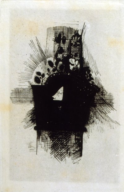 Les Fleurs du mal door Odilon Redon