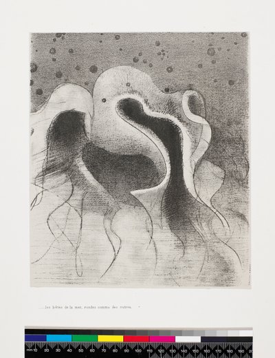 De dieren van de zee rond als wijnzakken, 1896 door Odilon Redon