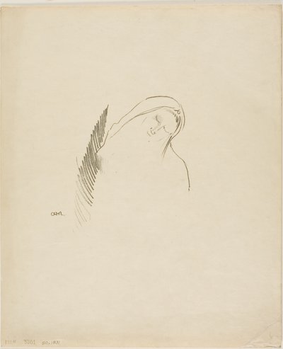 Slaap door Odilon Redon