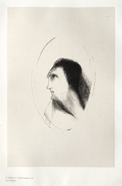 De Breedte en Vlakheid van het Voorhoofdsbeen door Odilon Redon