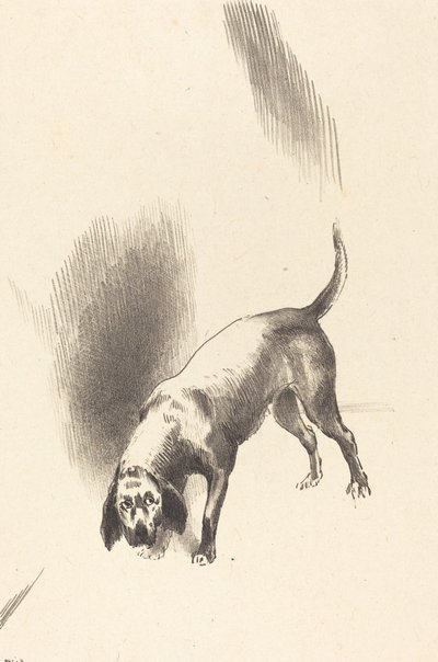 De Hond door Odilon Redon