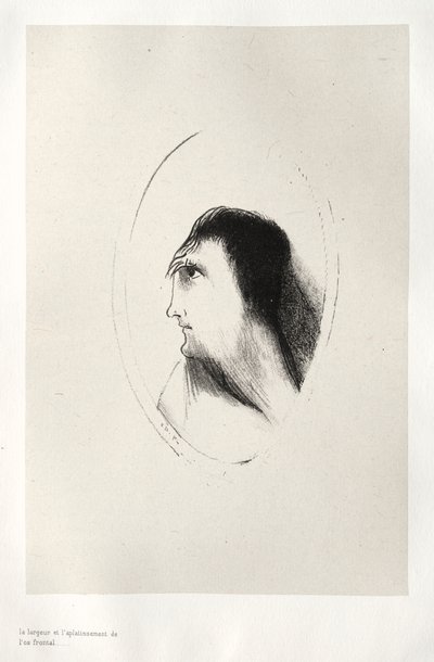 Het spookhuis: De breedte en vlakheid van [het] voorhoofd, 1896 door Odilon Redon