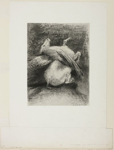 De Onmachtige Vleugel Tilte het Dier Niet in Die Zwarte Ruimte, plaat 7 van 8 uit "Les Origines" door Odilon Redon