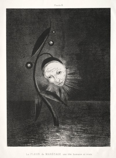De Moerasbloem, een Triest Menselijk Hoofd door Odilon Redon