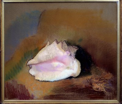De schelp door Odilon Redon