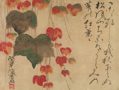 Herfstklimop, na 1732 door Ogata Kenzan