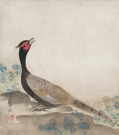  door Ogata Korin