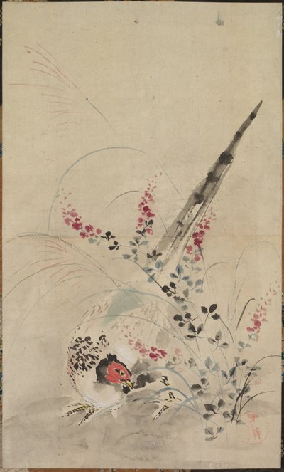  door Ogata Korin