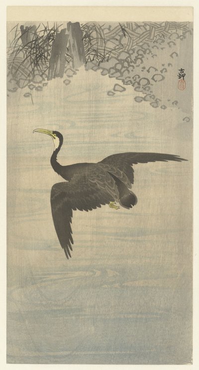 Aalscholver in vlucht door Ohara Koson