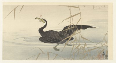 Aalscholver met vis door Ohara Koson