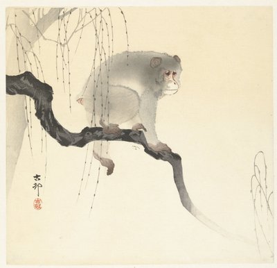 Aap op boomtak door Ohara Koson
