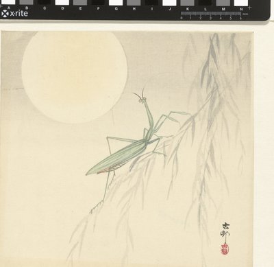 Bidsprinkhaan door Ohara Koson