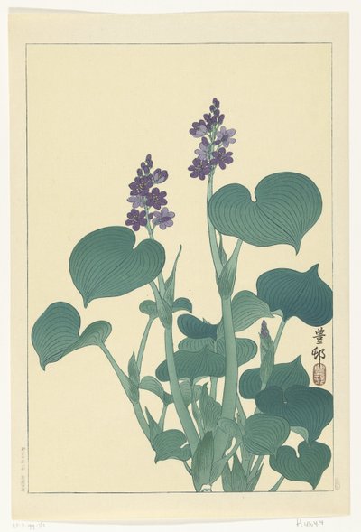 Bloeiende hosta door Ohara Koson