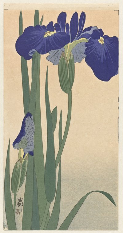 Blauwe Irissen door Ohara Koson