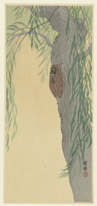 Cicade op een boom door Ohara Koson