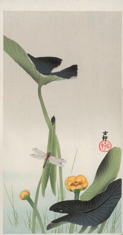 Libelle en lotus door Ohara Koson