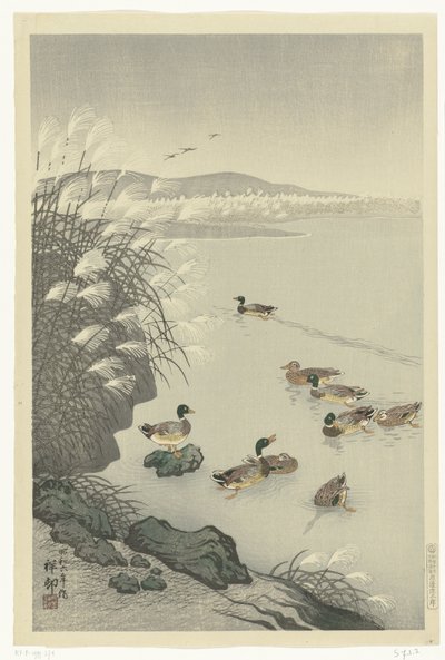 Eenden in het water door Ohara Koson