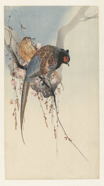 Fazantenkoppel en pruimenbloesem door Ohara Koson