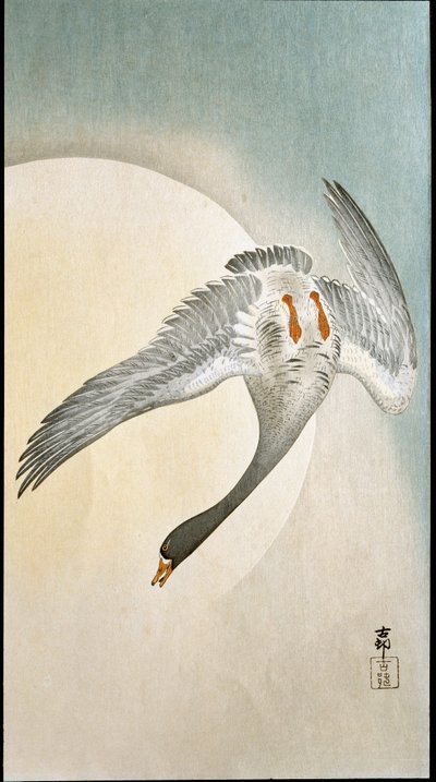 Vlucht van eenden in maanlicht door Ohara Koson