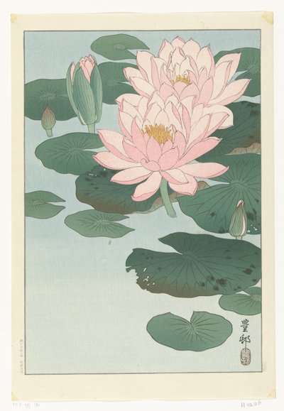 Bloeiende waterlelie door Ohara Koson