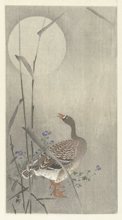 Gans bij volle maan door Ohara Koson