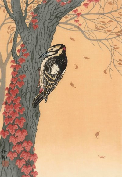Grote bonte specht in boom met rode klimop, 20e eeuw (japanse prent) door Ohara Koson