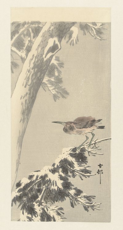 Indische kwak op besneeuwde boomtak door Ohara Koson