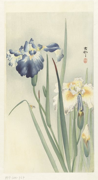 Irissen door Ohara Koson