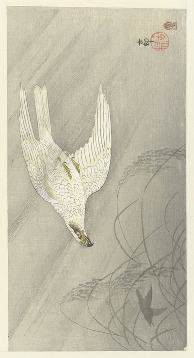 Jagende havik door Ohara Koson