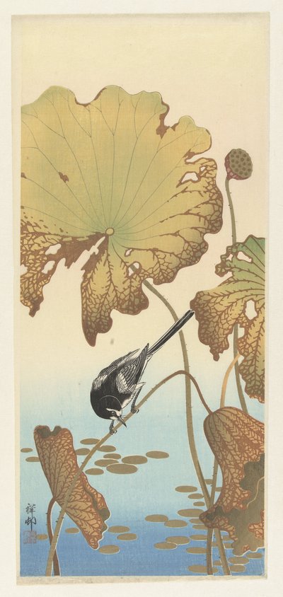 Japanse kwikstaart op lotusplant door Ohara Koson