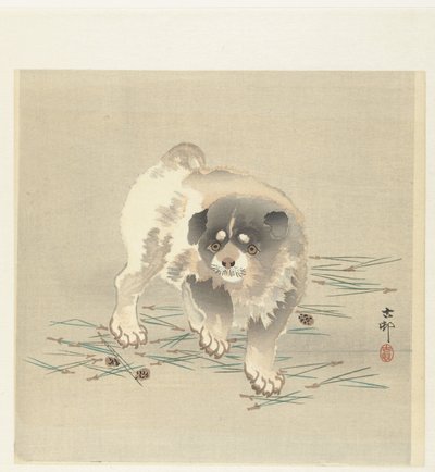 Jonge hond door Ohara Koson
