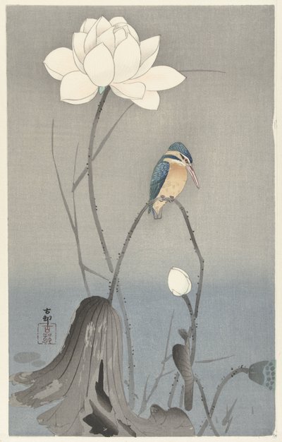IJsvogel met lotus door Ohara Koson