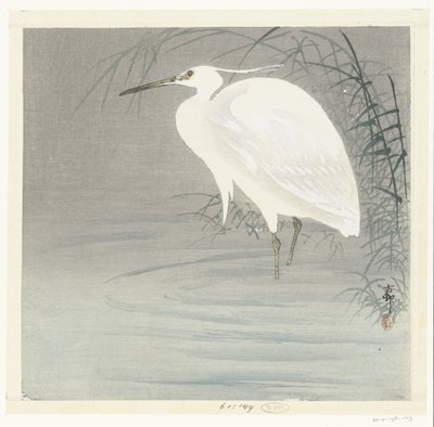 Kleine zilverreiger door Ohara Koson