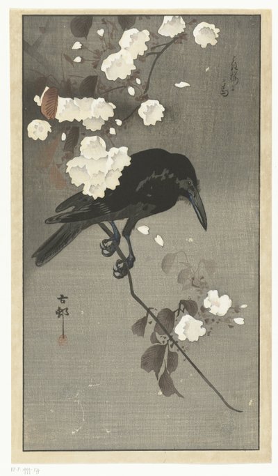Kraai met kersenbloesem door Ohara Koson