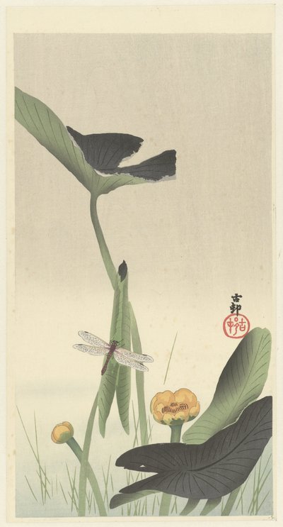 Libelle en lotus door Ohara Koson