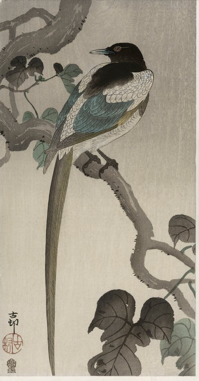 Ekster op een Pauwlonia tak (kleur houtsnede) door Ohara Koson