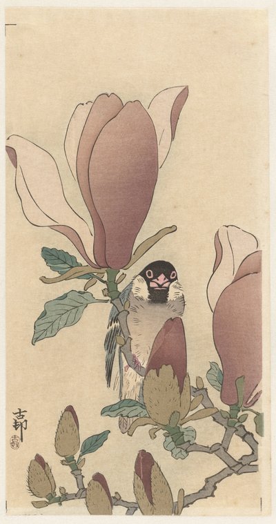 Mus op bloeiende magnolia tak door Ohara Koson