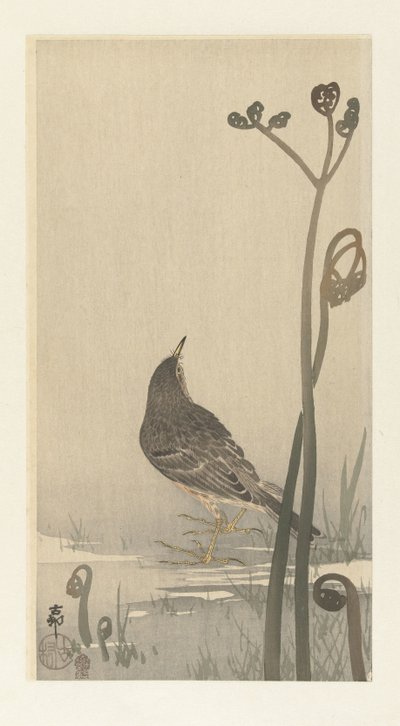 Pieper aan waterkant door Ohara Koson