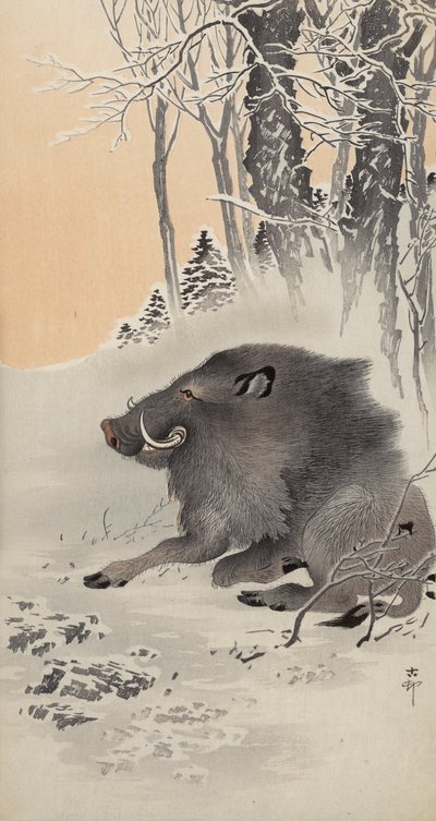 Liggend zwijn in een met sneeuw bedekt landschap door Ohara Koson
