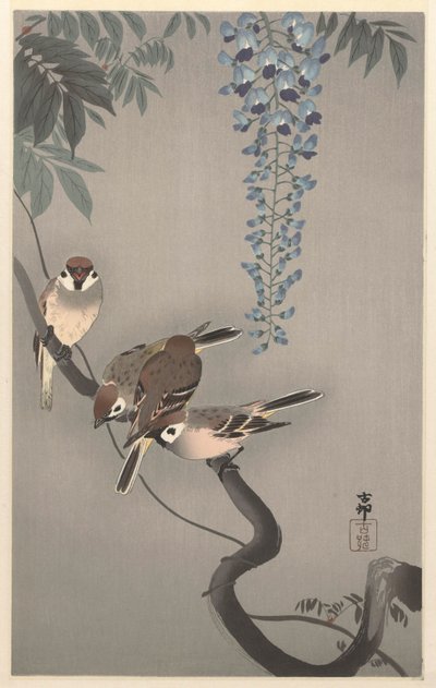 Ringmussen bij wisteria door Ohara Koson