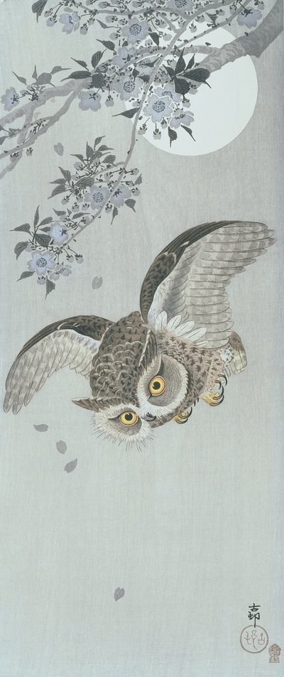 Scoopuil in vlucht met bloesem en volle maan (kleur houtsnede) door Ohara Koson