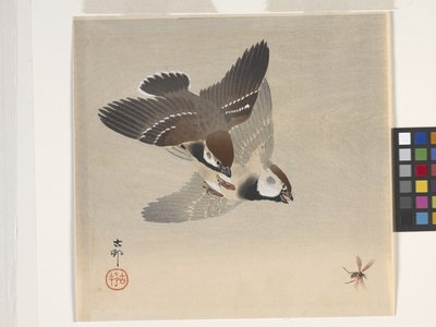 Mussen die een Vliegend Insect Achtervolgen door Ohara Koson
