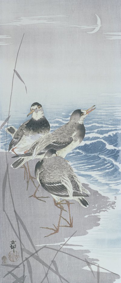 Drie strandlopers aan de waterkant voor riet (kleur houtsnede) door Ohara Koson