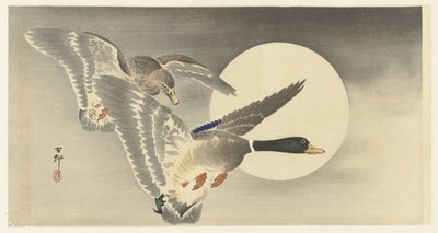 Twee eenden bij volle maan door Ohara Koson