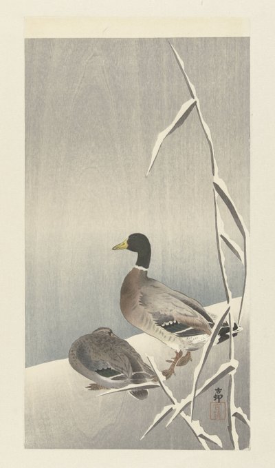Twee eenden op besneeuwde rietover door Ohara Koson